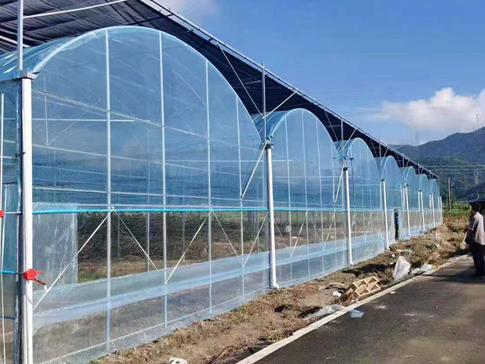 连栋大棚的设计基本原则和要求