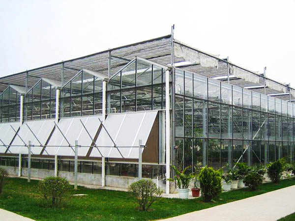 阳光板温室