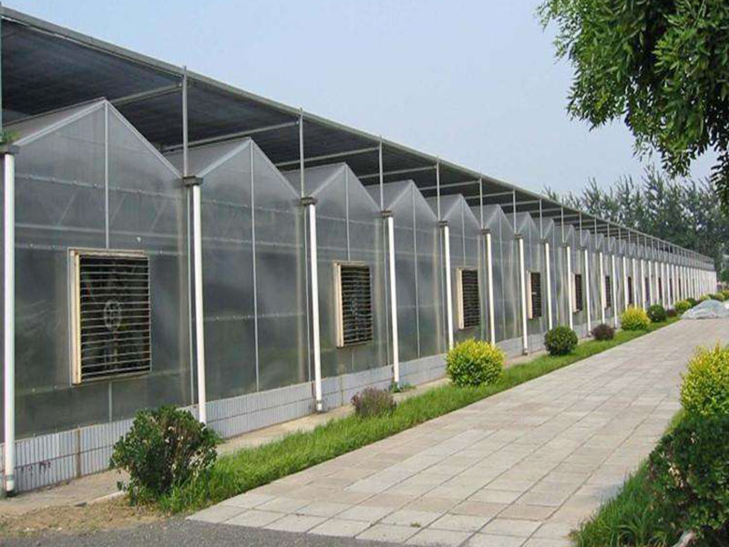 阳光板温室