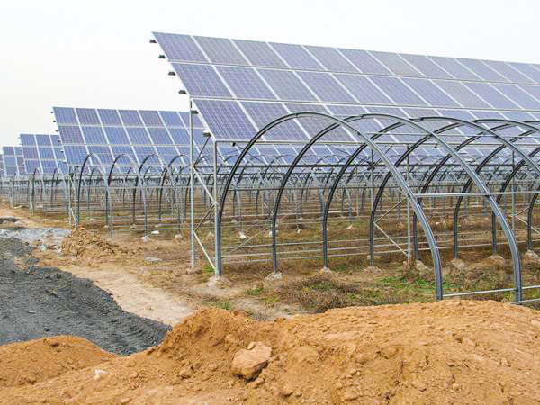 光伏温室