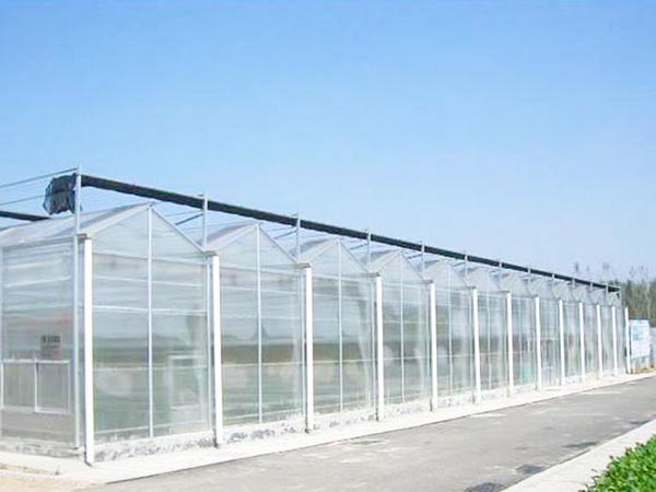连栋温室
