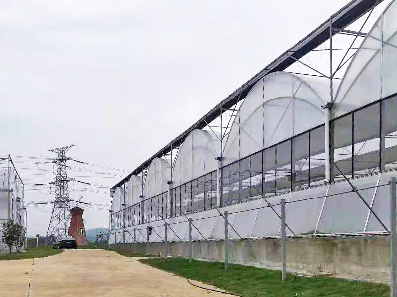 连栋温室