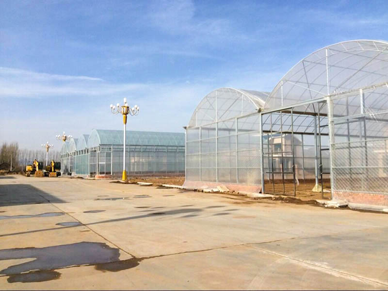 连栋温室