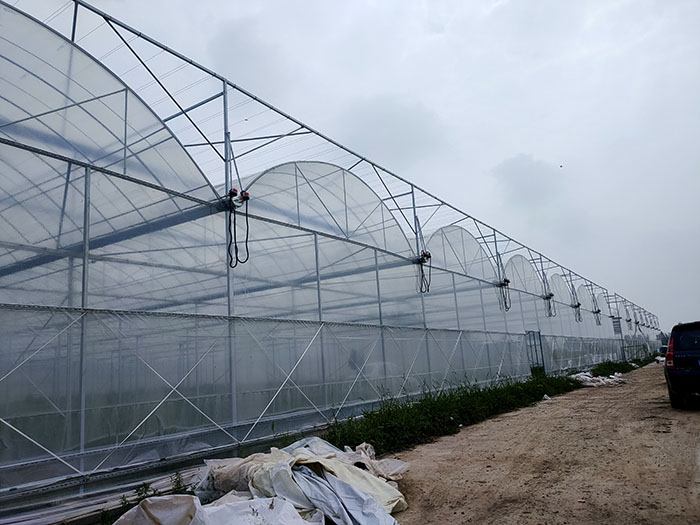 连栋薄膜温室