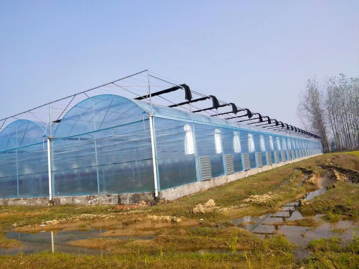 连栋薄膜温室