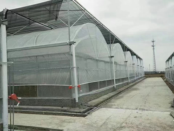 连栋薄膜温室