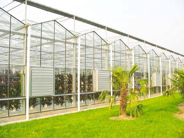 玻璃温室
