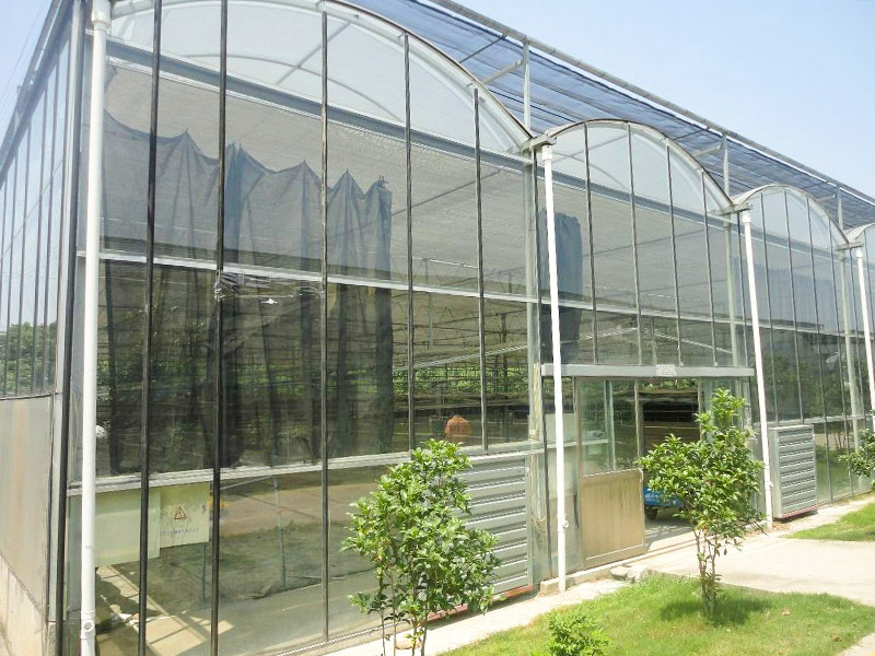 玻璃温室