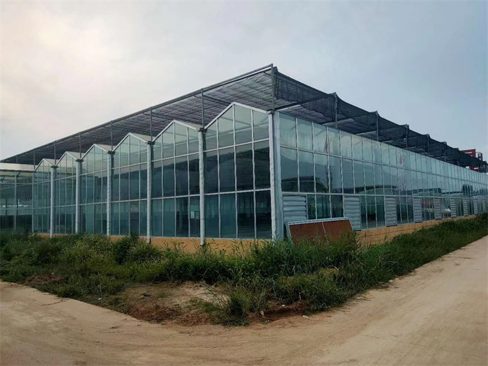 玻璃温室